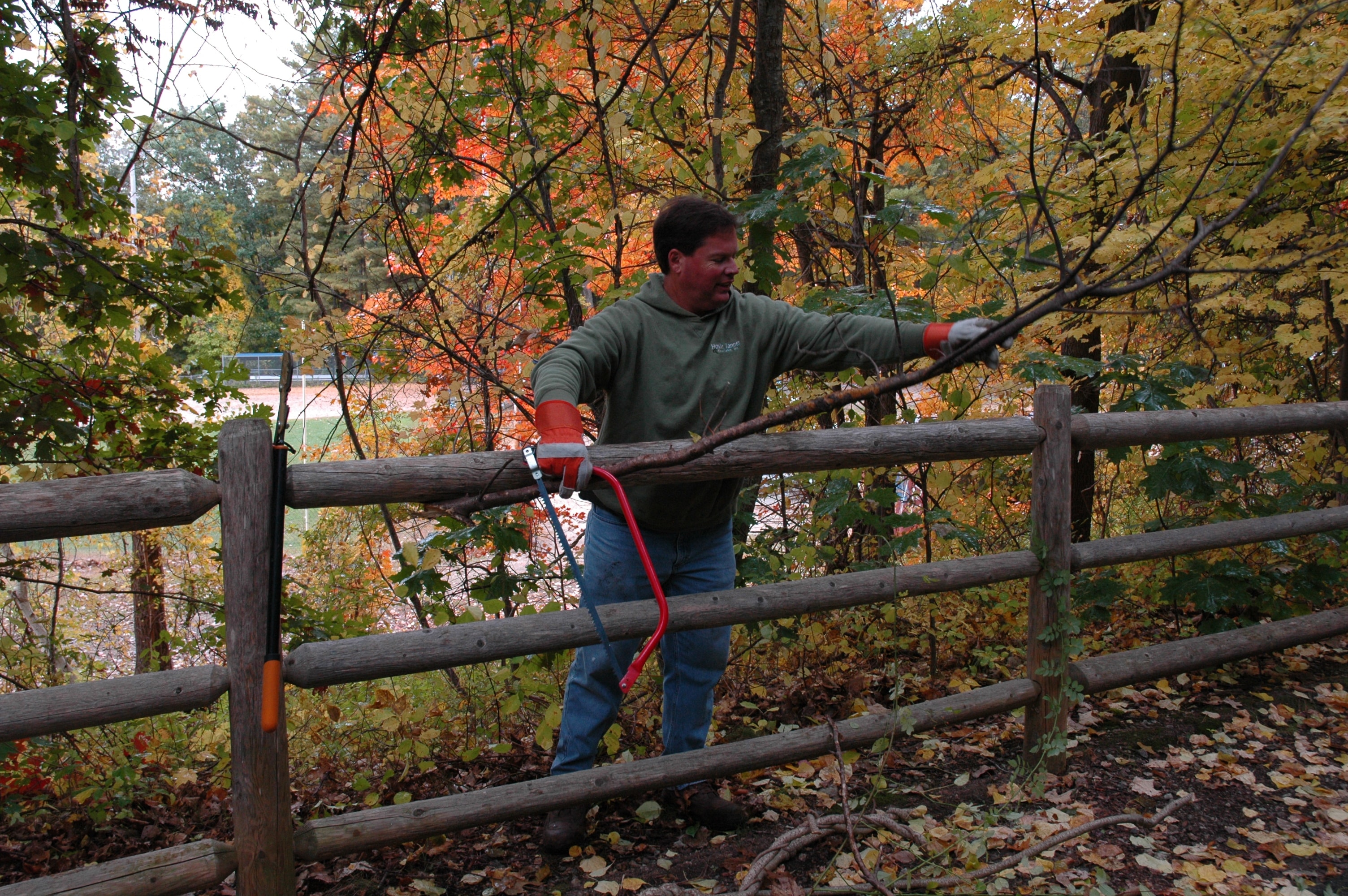 Man cutting tree branch to volunteer