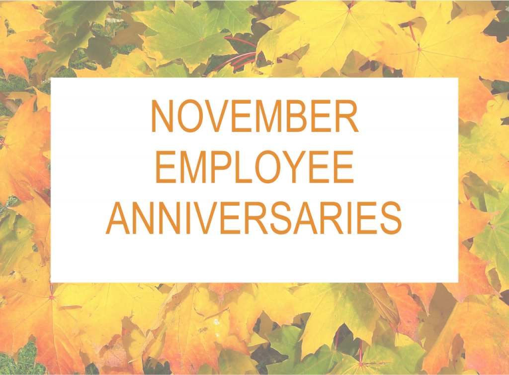 november-2018-employee-anniversaries-hoyle-tanner