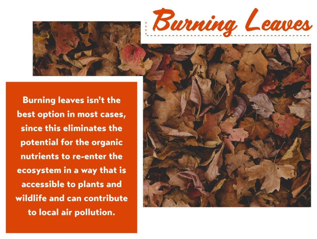 A graphic with another photo of leaves and a text box about not burning them