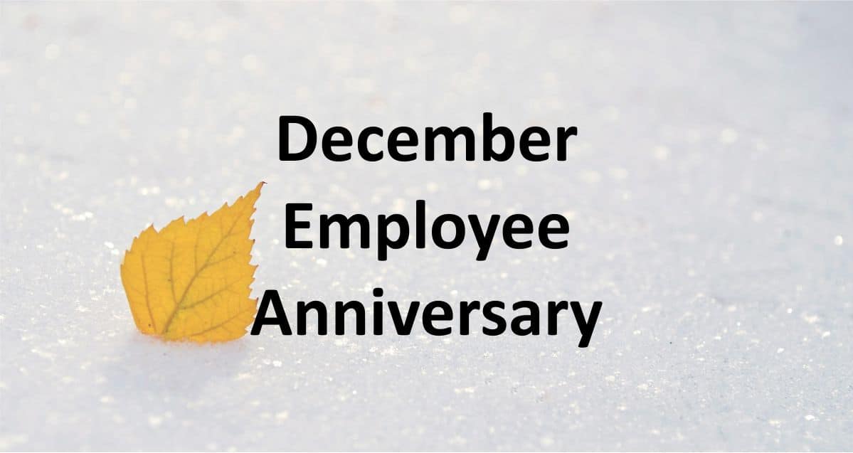 December Employee Anniversary Hoyle Tanner