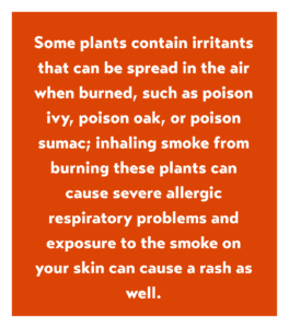 Orange graphic box with white text with a sentence from the article about plants containing irritants so if they are set on fire, could cause lung problems