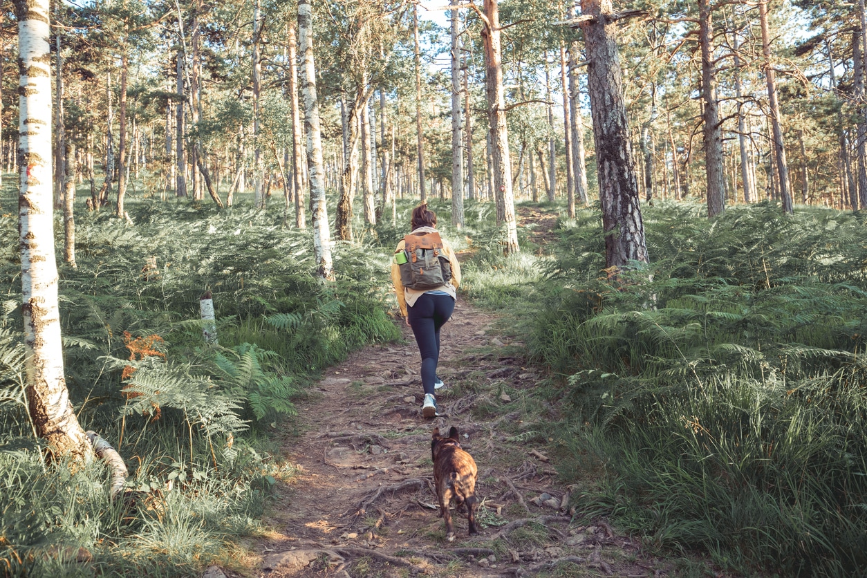 Woman & Dog Hiking in the Forest