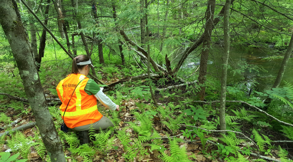 wetland-mitigation-meaningful-ways-to-offset-impacts