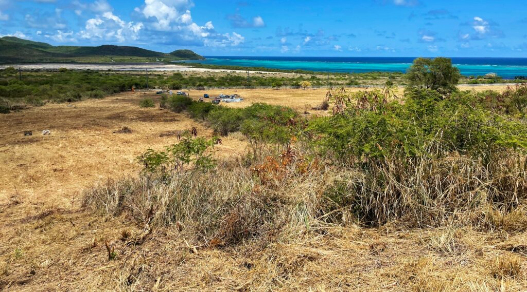 An image with hay and straw in the foreground and beautiful island blue water in the background. This is another location for solar facilities in USVI.