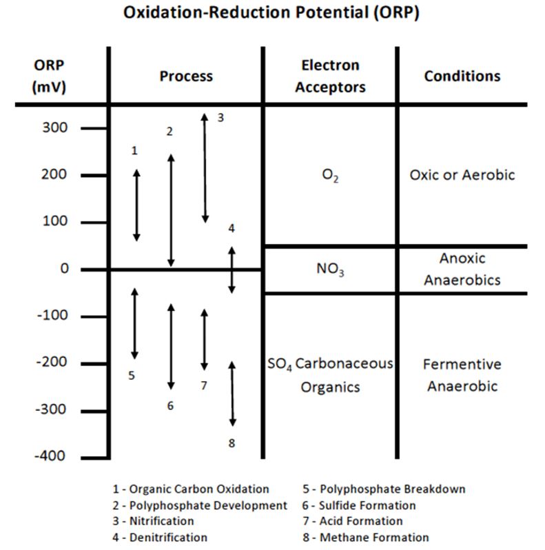 Oxidation reduction potential 