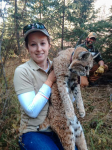 Melinda is holding a bobcat for tracking.