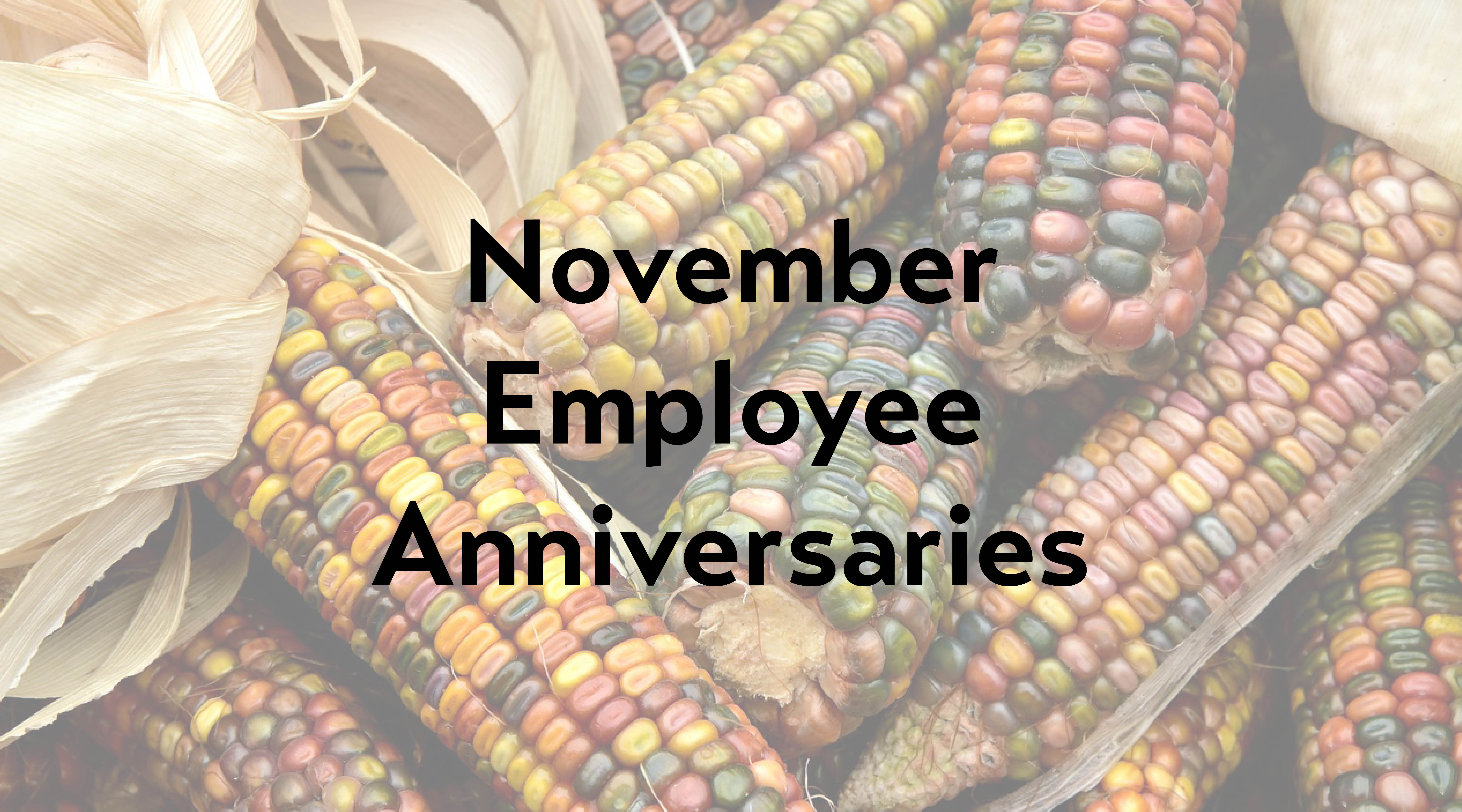 November Employee Anniversaries on a fall harvest corn background