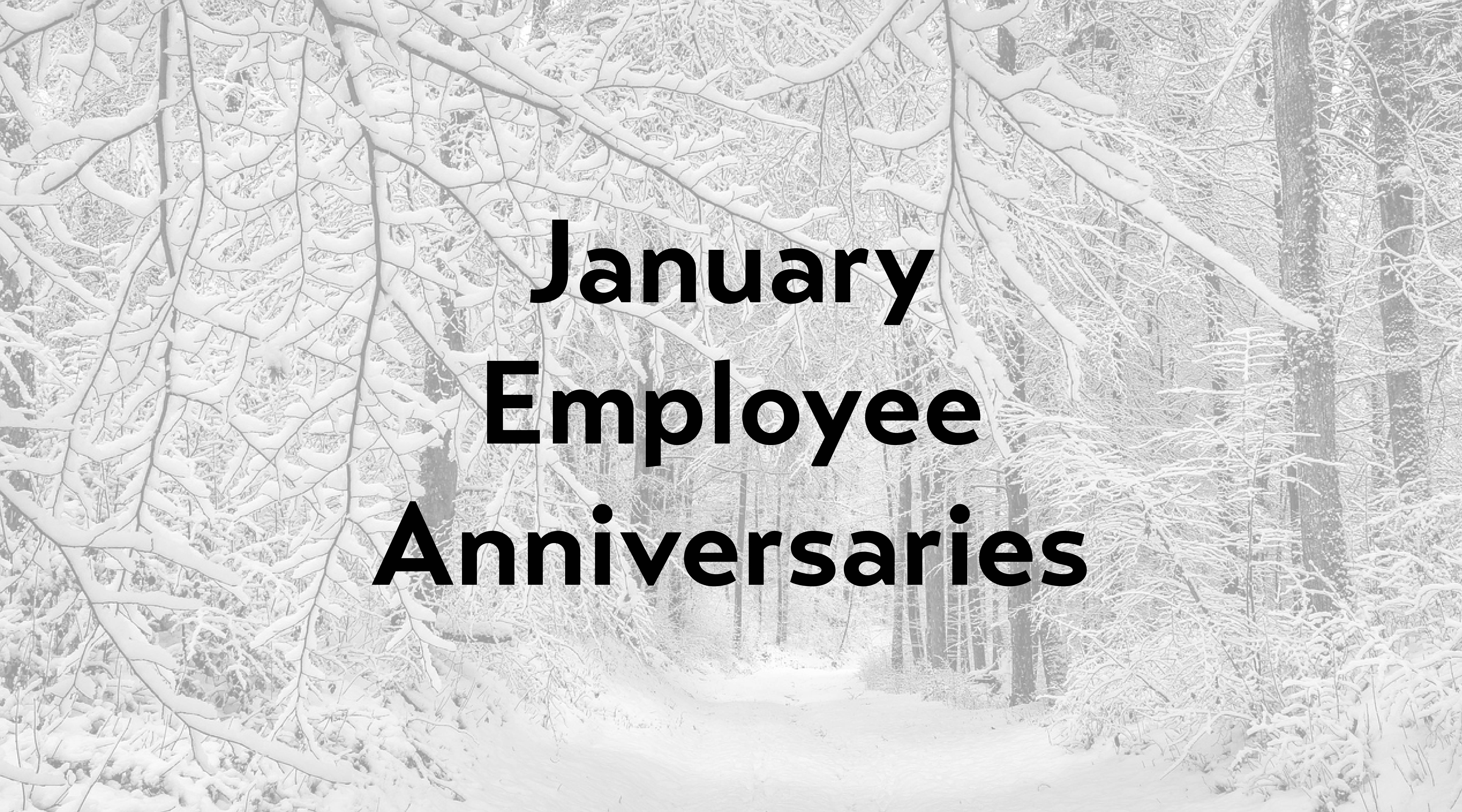 January Employee Anniversaries on Snowy Background