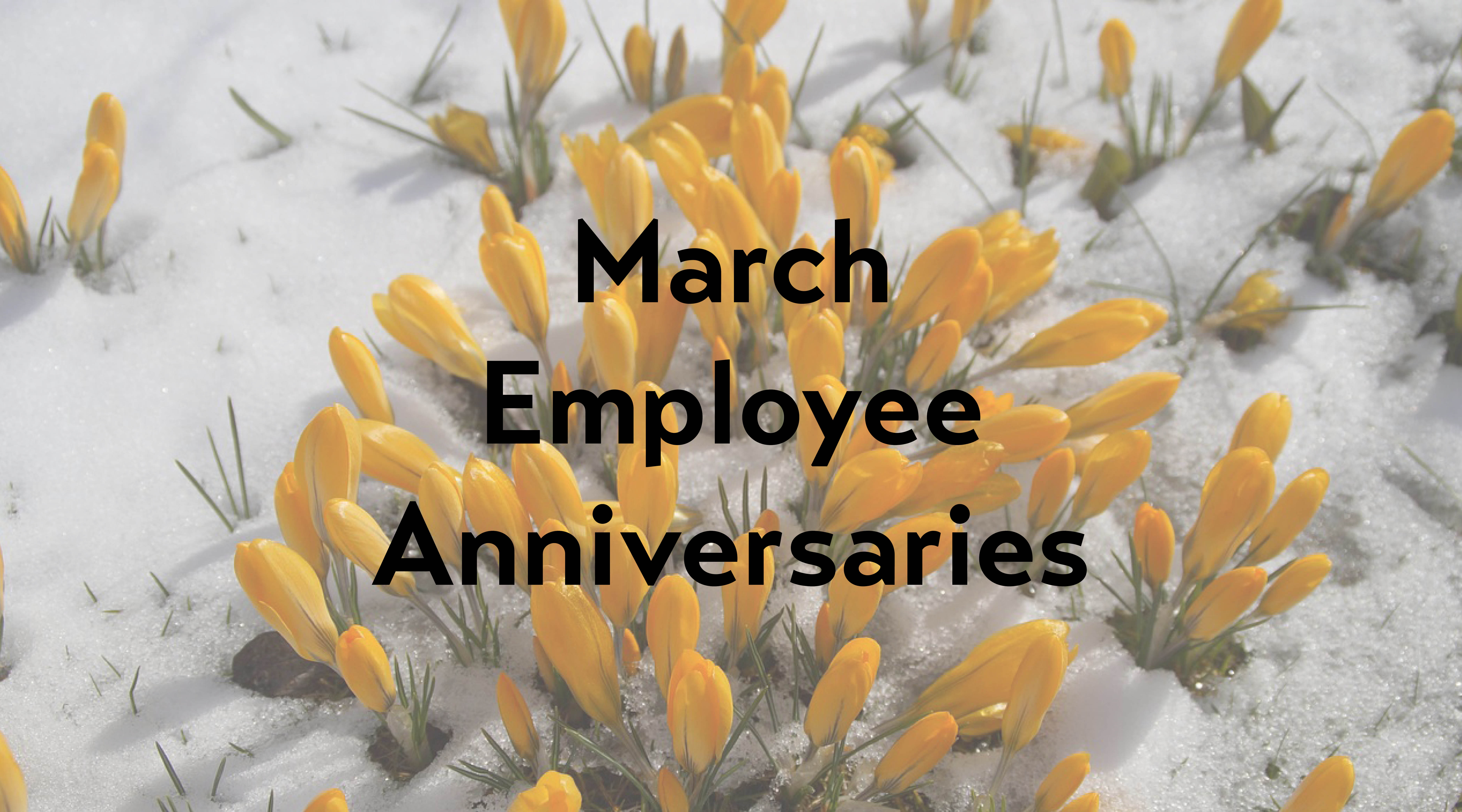 March Employee Anniversaries