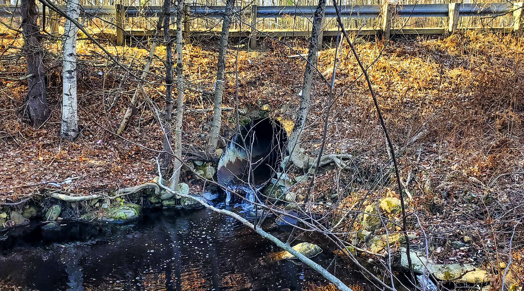 An image of an undersized culvert in Goffstown, New Hampshire - Paige Hill Wetlands.