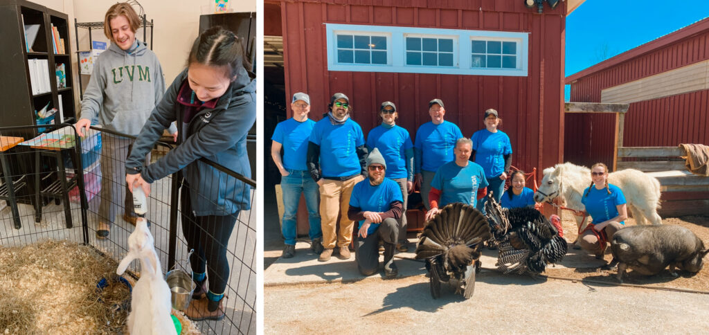 Zach and the team volunteering with animals at Merrymac Farm Sanctuary.