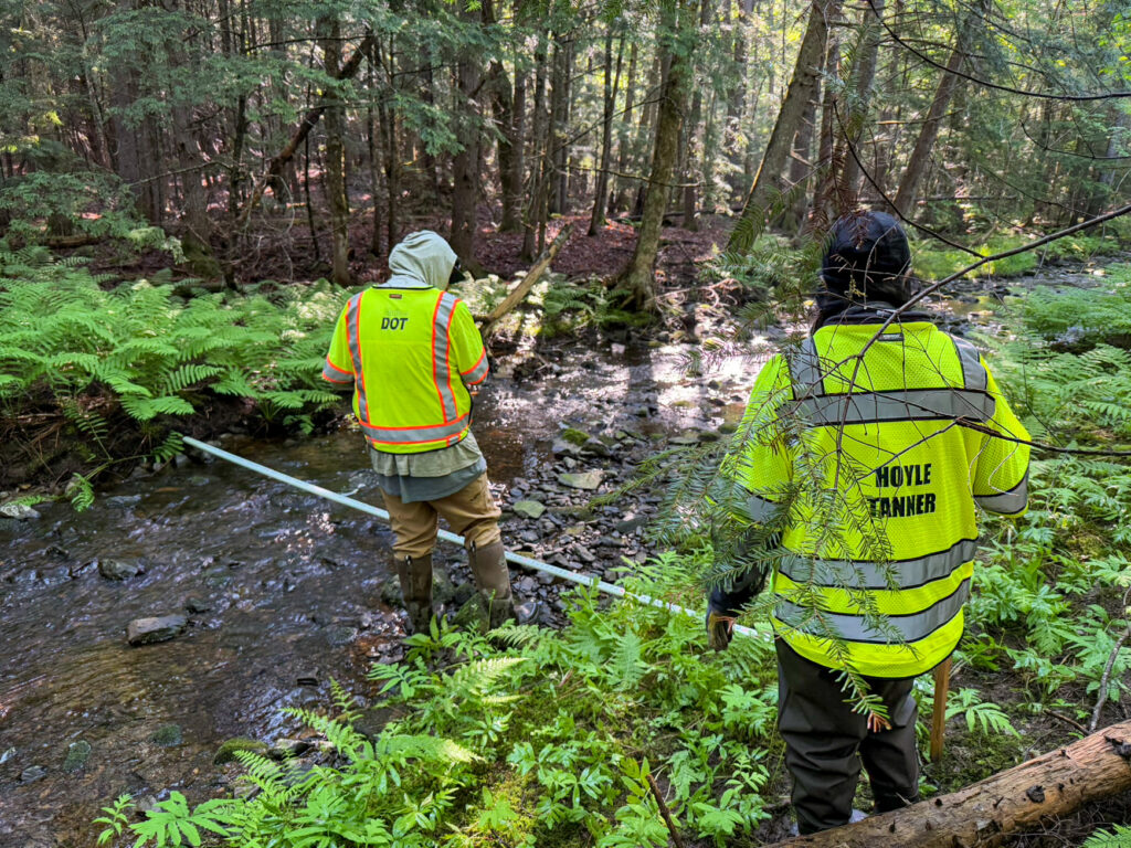 Lynne and a MaineDOT worker are out in the woods for scour/hydraulics projects.