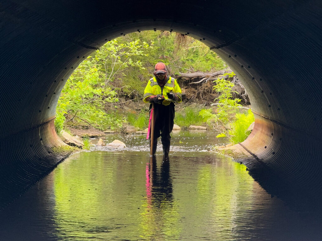 Lynne is pictured at the end of a culvert with greenery behind her.
