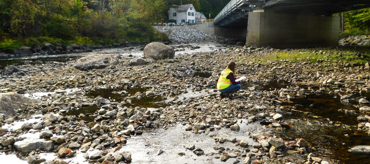 Understanding Bat Survey Methods for Project Permitting - Hoyle Tanner