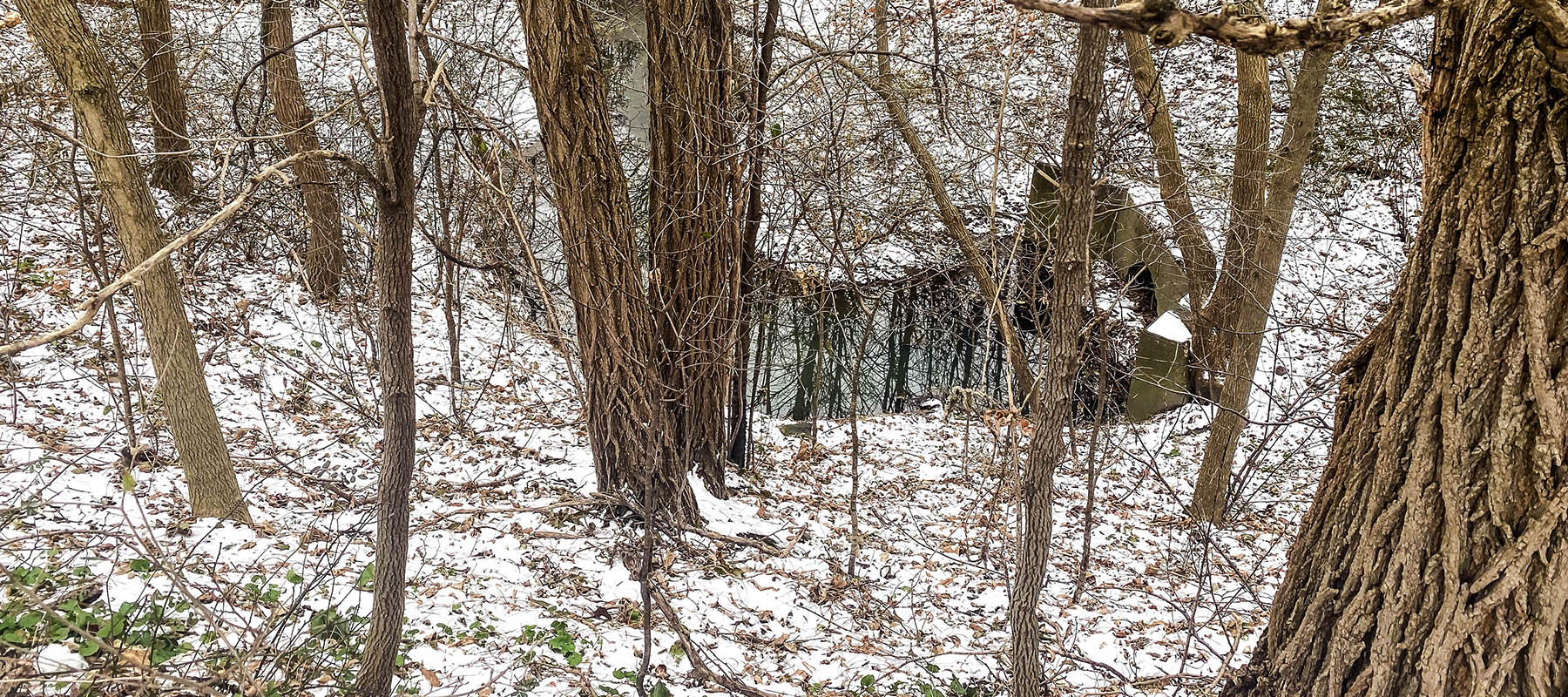 A photo of the existing project area, showing water in the woods near the culvert.
