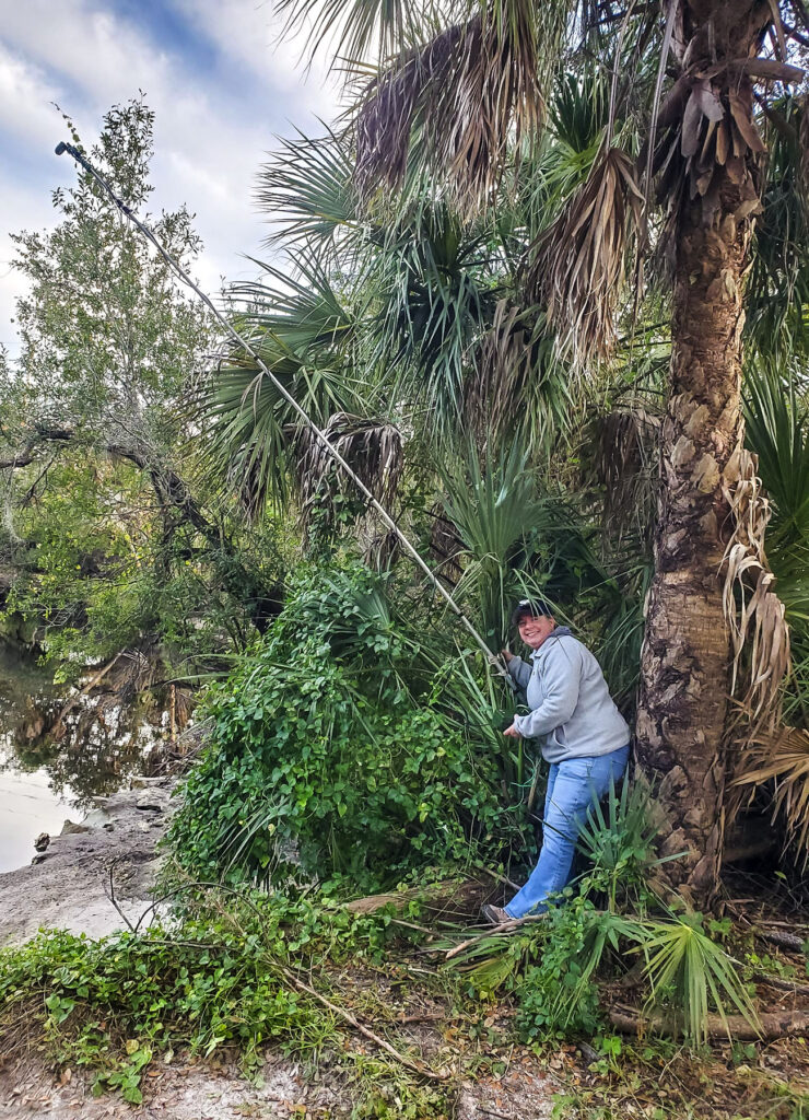 Joanne is seen doing bat acoustic deployment.